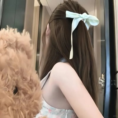 赤裸特工